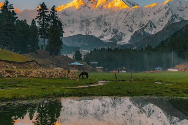 India Tour | Manali to Ladakh