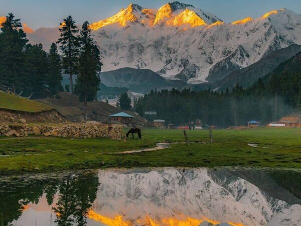 India Tour | Manali to Ladakh