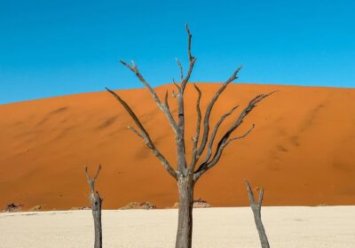Namibia: Top Places to Visit
