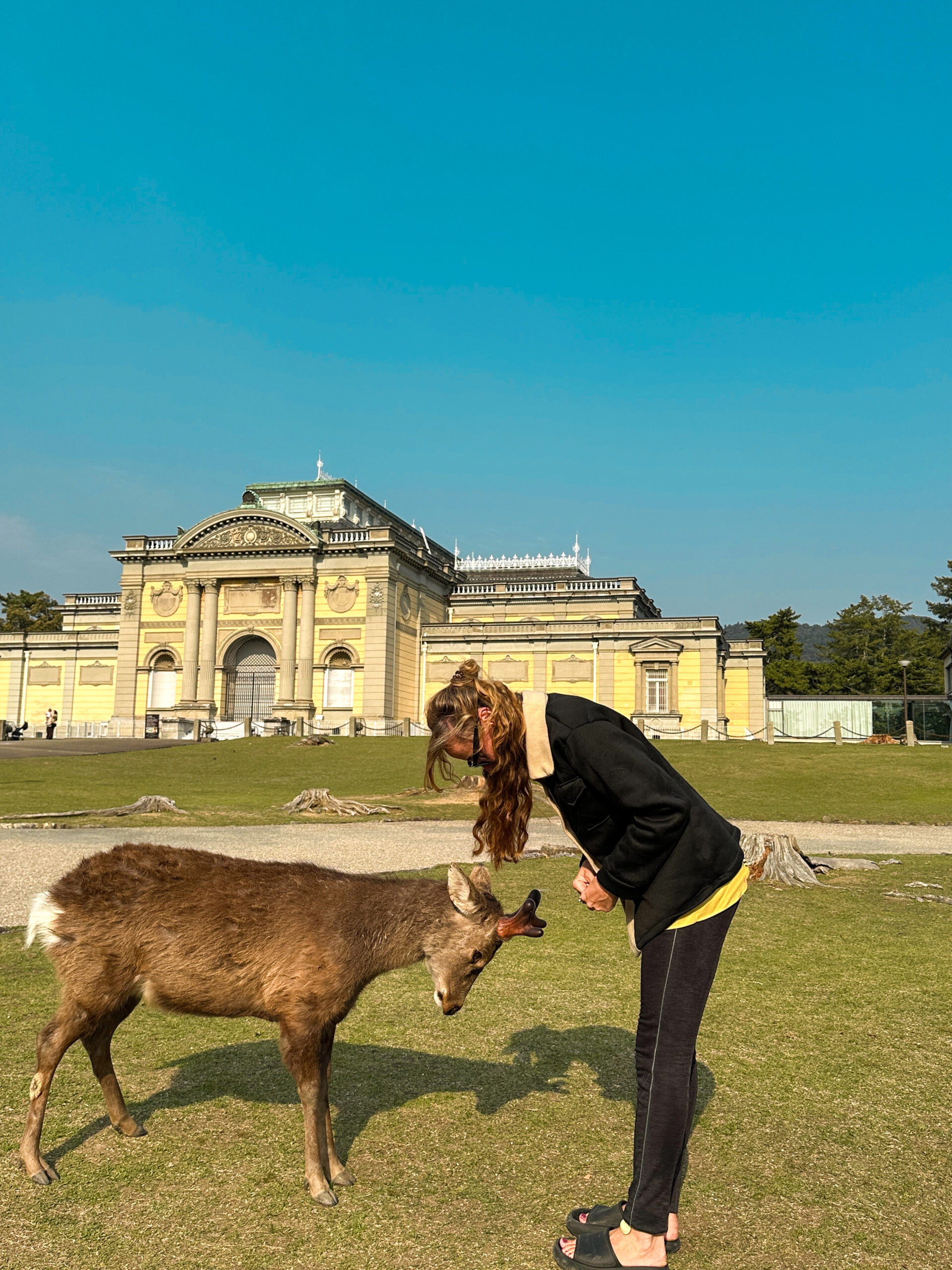 Created with Lens Buddy