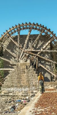 Created with Lens Buddy